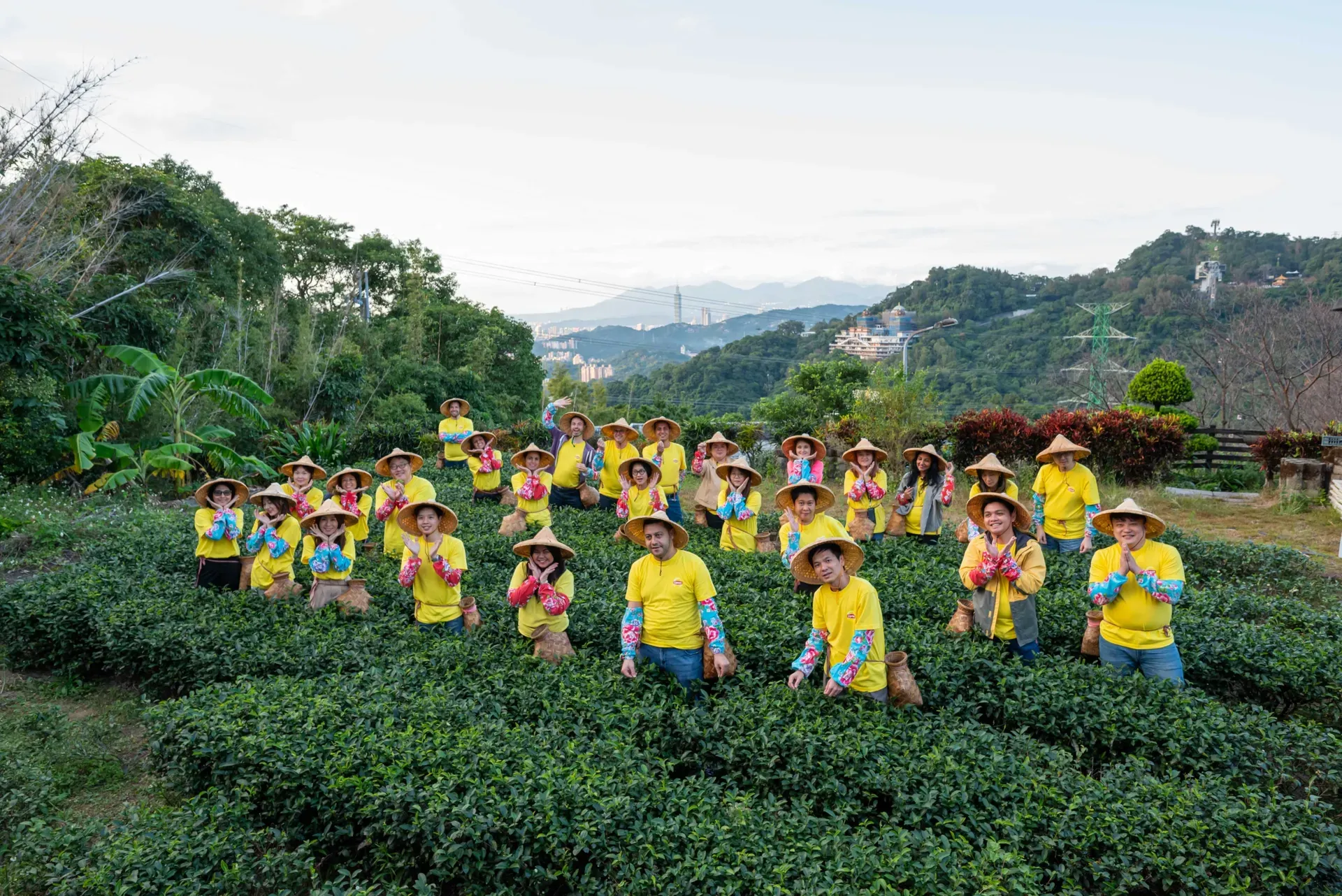 NASEA Meeting 採茶文化體驗